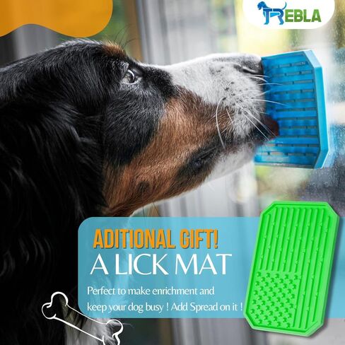 Dog Chew Toy - Almost Indestructible Dogs Toy for Aggressive chewers | Durable Natural Rubber Skull Bones Squeaky Teeth Cleaning Chew for Medium/Large Dogs (Green) in Saudi Arabia