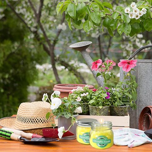 9 عبوات من الشموع المعطرة شموع الصويا للمنزل، 2.2 أونصة من شمع الصويا للعلاج العطري برائحة شمع الصويا، مجموعة هدايا شموع عطرية لتزيين المنزل للنساء، شموع ديكور لعيد الحب وعيد الأم in Kuwait