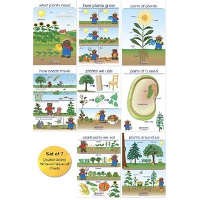 NewPath All About Plants Bulletin Board Charts - English Version, Set/8 - Laminated, Double-Sided, Full-Color, 12" x 18" (94-0221)