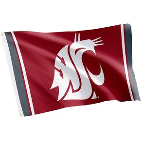 Desert Cactus Washington State University Flag WSU Cougars Cougs Flag Banners 100% Polyester Indoor Outdoor 3x5 feet Flags (Style Z)