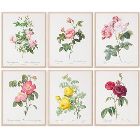 Vintage Flowers Wall Art Prints (Set of 6) Art Print - 8x10 (Unframed) | Elegant Floral Décor | Vintage Décor | Bathroom Décor Wall Art | Living Room Décor | Farmhouse Décor | Abstract Wall Art