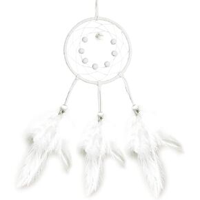 FALIDI Dream Catcher Kit for Beginners-DIY Dream Catcher Supplies Include Metal Hoop, Feathers, Faux Suede Cord, Thread, Wood Beads for Kids Adults (Sky Blue)