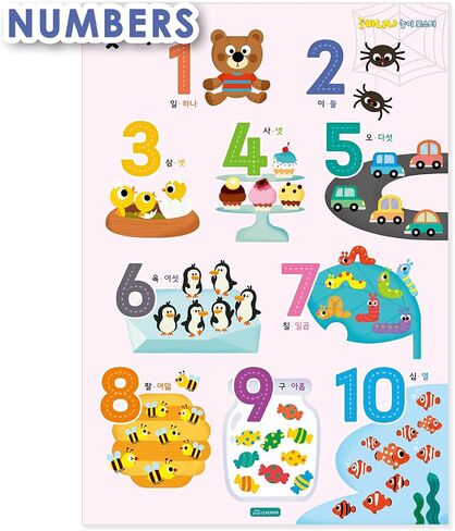 Leveram Korean Alphabet Chart Korean Language Poster Hangul Alphabet and Basic Word Learning Wall Chart about Alphabet Body Animal Number Korean Posters for Beginners Adult and Kids Set of 5 in Saudi Arabia
