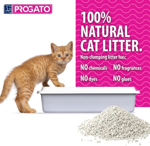 Premium Natural Cat Litter, 4 lb (Pack of 2) - 100% Natural Diatomaceous Earth Non-Clumping Cat Litter, 21+ Day Odor Control, Lightweight, Chemical and Dye Free in Saudi Arabia