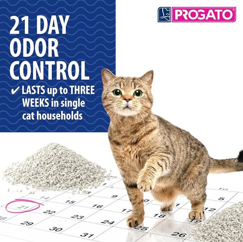 Premium Natural Cat Litter, 4 lb (Pack of 2) - 100% Natural Diatomaceous Earth Non-Clumping Cat Litter, 21+ Day Odor Control, Lightweight, Chemical and Dye Free in Saudi Arabia