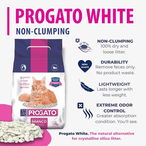 Premium Natural Cat Litter, 4 lb (Pack of 2) - 100% Natural Diatomaceous Earth Non-Clumping Cat Litter, 21+ Day Odor Control, Lightweight, Chemical and Dye Free in Saudi Arabia