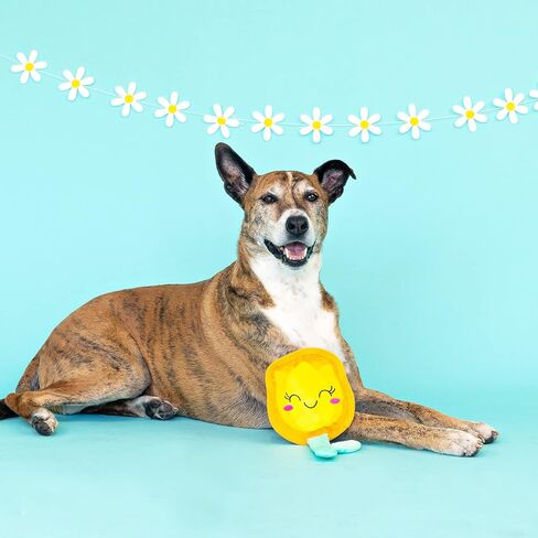 Fringe Studio Durable Plush Dog Toy, in Full Bloom, Pet Shop Collection (729096) in Saudi Arabia