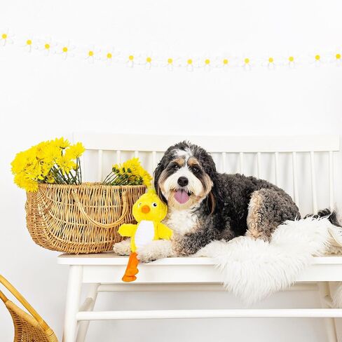 Fringe Studio Durable Plush Dog Toy, in Full Bloom, Pet Shop Collection (729096) in Saudi Arabia