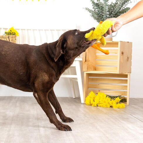 Fringe Studio Durable Plush Dog Toy, in Full Bloom, Pet Shop Collection (729096) in Saudi Arabia