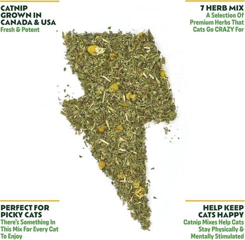 Catnip Craze - Catnip Grown in Canada and The USA in Saudi Arabia