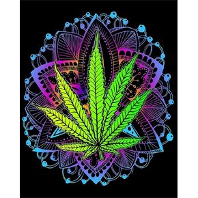 مجموعات الطلاء الماسي 5D DIY للبالغين من أوراق القنب وأعشاب الماريجوانا وأعشاب غانجا وأوراق القنب الحفر الكامل للفنون الحرفية لديكور الحائط المنزلي (الأعشاب، 16 × 20 بوصة) in Kuwait