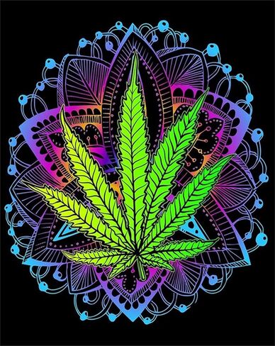 مجموعات الطلاء الماسي 5D DIY للبالغين من أوراق القنب وأعشاب الماريجوانا وأعشاب غانجا وأوراق القنب الحفر الكامل للفنون الحرفية لديكور الحائط المنزلي (الأعشاب، 16 × 20 بوصة) in Kuwait