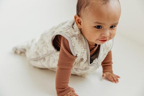 Copper Pearl Sleep Sack: Warm and Cozy Baby Bag in a Variety of Trendy Designs, Safe Alternative to Blankets, Sleeveless Baby Sleep Sack Swaddle Sizes Newborn to 24 Months - Jurassic Park in Saudi Arabia