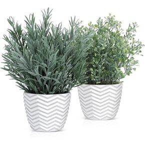 نباتات خشبية مزيفة بوعاء - نباتات وهمية لديكور المنزل والمكتب والمزرعة، نباتات صناعية في أواني أسمنتية بيضاء، عبوتان in Kuwait