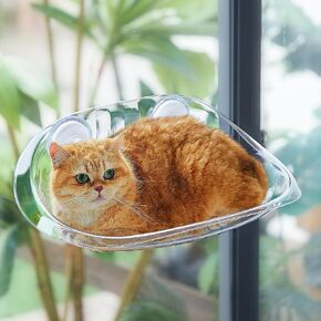 Cat Window Perch - Clear Cat Window Hammock,Solid Cat Window Bed for Cats and Kittens