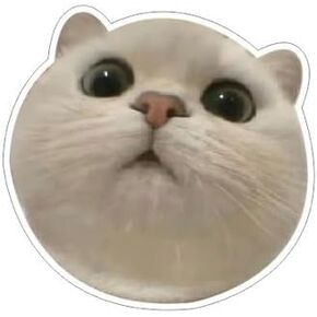 Standing 3D Cat Decal Stickers for Car Window Bumper Mirror, Peeking Cat Decals Peel and Stick, Realistic Paw Print Cat Car Sticker Accessories (Standing CAT)