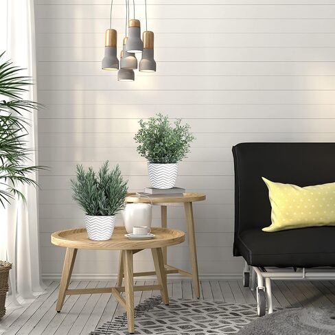 نباتات خشبية مزيفة بوعاء - نباتات وهمية لديكور المنزل والمكتب والمزرعة، نباتات صناعية في أواني أسمنتية بيضاء، عبوتان in Kuwait