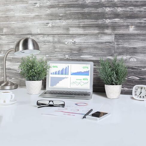 نباتات خشبية مزيفة بوعاء - نباتات وهمية لديكور المنزل والمكتب والمزرعة، نباتات صناعية في أواني أسمنتية بيضاء، عبوتان in Kuwait