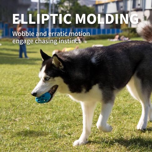 ALL FOR PAWS Indestructible Dog Toys for Aggressive chewers Dog chew Toys Tough Dog Toys for Aggressive chewers Indestructible Dog Toys Dog Rubber Football Meta Ball (Wiggle Holey Roller M) in Saudi Arabia