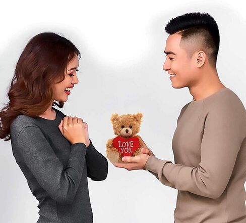 Plush Stuffed Animal Mocha Heart Bear – Love You Bears- Toy for Kids & Adults Valentine's Day - Embroidered Heart Pillow (6 inch, Brown Love You) in Kuwait