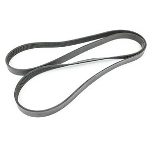 Sierra 18-15116 Serpentine Belt