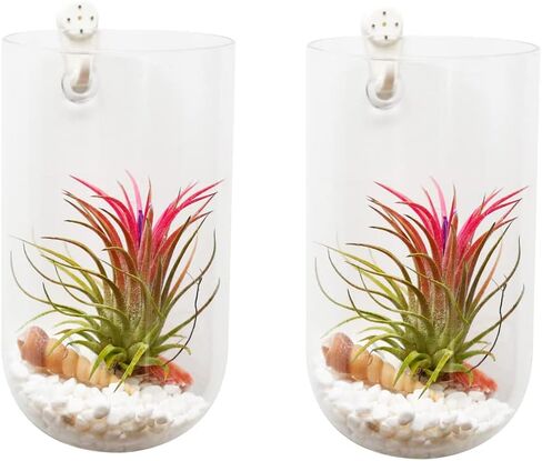 2 Pack Wall Vases Wall Hanging Glass Planters Wall Mounted Glass Terrariums Glass Vases in Saudi Arabia