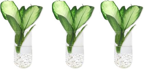 2 Pack Wall Vases Wall Hanging Glass Planters Wall Mounted Glass Terrariums Glass Vases in Saudi Arabia