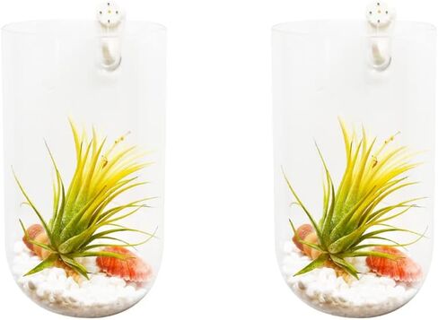 2 Pack Wall Vases Wall Hanging Glass Planters Wall Mounted Glass Terrariums Glass Vases in Saudi Arabia