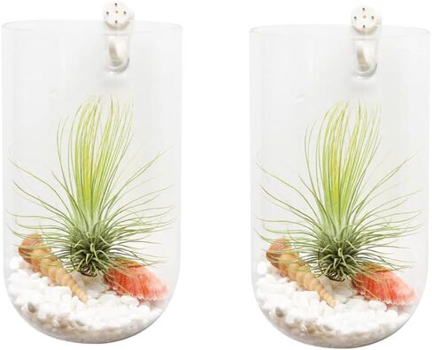 2 Pack Wall Vases Wall Hanging Glass Planters Wall Mounted Glass Terrariums Glass Vases in Saudi Arabia