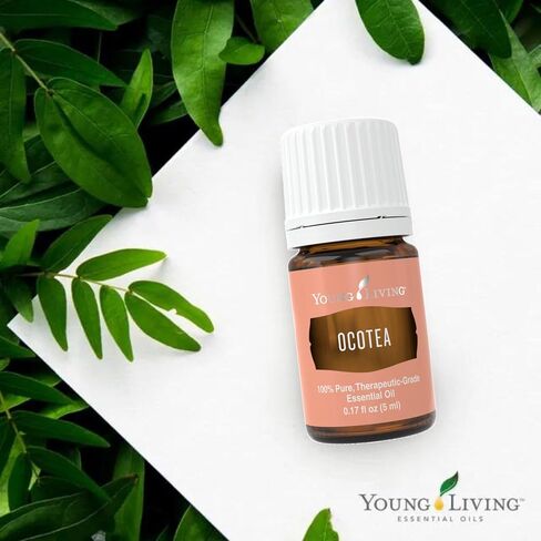 Young Living - Ocotea Essential Oil 5 ml | Used Traditionally in Spiritual Cleansing Rituals | Warm & Spicy Aroma | Cleanses Skin | Also Known as False Cinnamon in Saudi Arabia