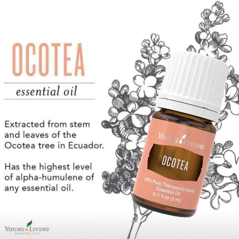 Young Living - Ocotea Essential Oil 5 ml | Used Traditionally in Spiritual Cleansing Rituals | Warm & Spicy Aroma | Cleanses Skin | Also Known as False Cinnamon in Saudi Arabia