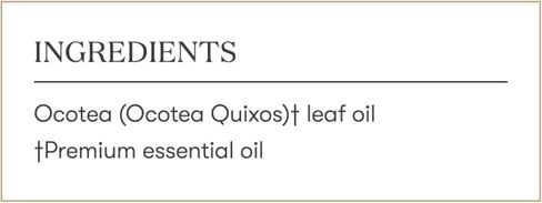 Young Living - Ocotea Essential Oil 5 ml | Used Traditionally in Spiritual Cleansing Rituals | Warm & Spicy Aroma | Cleanses Skin | Also Known as False Cinnamon in Saudi Arabia
