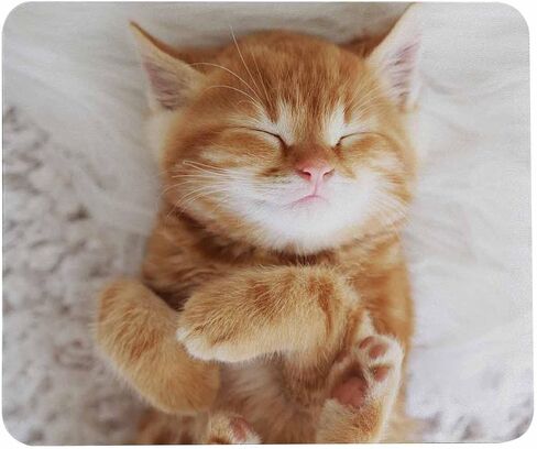 لوحة ماوس بقاعدة مطاطية مضادة للانزلاق، سهلة الانزلاق، حصيرة فأرة كمبيوتر لأجهزة الكمبيوتر والكمبيوتر المحمول والألعاب والمكتب والمنزل، مقاس 7.9 * 9.5 بوصة، الدب البني يرحب بأمواج مخلب in Kuwait