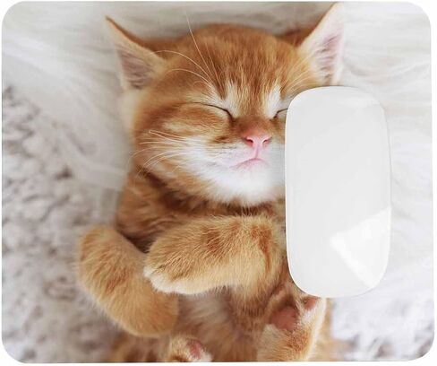 لوحة ماوس بقاعدة مطاطية مضادة للانزلاق، سهلة الانزلاق، حصيرة فأرة كمبيوتر لأجهزة الكمبيوتر والكمبيوتر المحمول والألعاب والمكتب والمنزل، مقاس 7.9 * 9.5 بوصة، الدب البني يرحب بأمواج مخلب in Kuwait