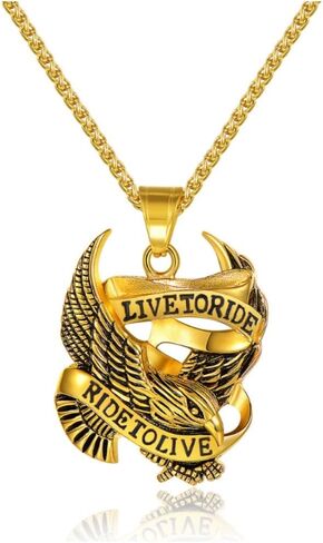 قلادة Blowin من الفولاذ المقاوم للصدأ بقلادة على شكل نسر صقر لراكبي الدراجات النارية للرجال، سلسلة بطول 60.96 سم in Kuwait