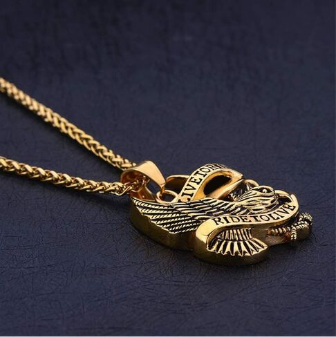 قلادة Blowin من الفولاذ المقاوم للصدأ بقلادة على شكل نسر صقر لراكبي الدراجات النارية للرجال، سلسلة بطول 60.96 سم in Kuwait