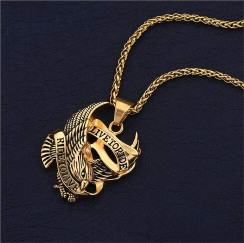 قلادة Blowin من الفولاذ المقاوم للصدأ بقلادة على شكل نسر صقر لراكبي الدراجات النارية للرجال، سلسلة بطول 60.96 سم in Kuwait