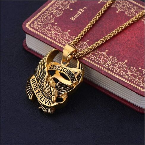 قلادة Blowin من الفولاذ المقاوم للصدأ بقلادة على شكل نسر صقر لراكبي الدراجات النارية للرجال، سلسلة بطول 60.96 سم in Kuwait