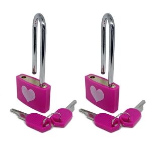 WANLIAN 2PCS Lock Padlock with Key, 1.25 Inch Wide Lock Body, 0.13 Inch Lock Bar Diameter Long Handle Door Padlock