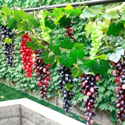 5 عناقيد من العنب الاصطناعي، محاكاة واقعية مجموعات عنب مطاطية نابضة بالحياة، حزم عنب زائفة، عنب مزخرف، حلي معلقة، دعامة للتصوير الفوتوغرافي، زينة للطعام، ديكور مركزي للمطبخ in Saudi Arabia