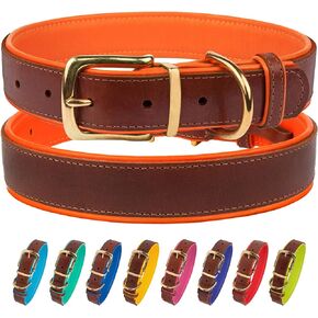 CollarDirect Leather Dog Collar Brass Buckle Soft Padded Puppy Small Medium Large Red Pink Blue Green Purple Yellow (Neck Fit 15"-17", Red)