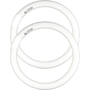 FC12T9 32 Watts Circline Light Bulbs Daylight, Circular 12 Inch T9 32W Round Fluorescent Bulb Replacement for Circle Ceiling Fixture Lamp, DL 6500K Tube, G10q 4 Pin Base, 2 Pack