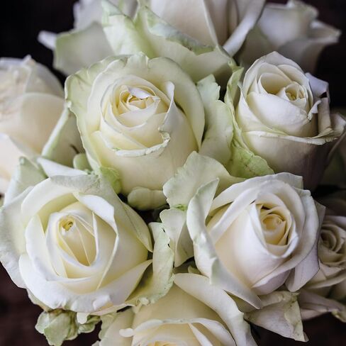 مزهرية بيضاوية كريستال من مجموعة Nachtmann Quartz، مقاس 6 بوصة، مزهرية زجاجية للقطع المركزية والباقة والزهور وديكور المنزل وهدية الزفاف، شفافة، آمنة للاستخدام في غسالة الأطباق in Kuwait