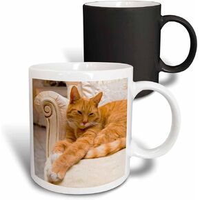 3dRose Happy orange tabby cat relaxing on fancy armchair, Yellow Mug, 11 oz