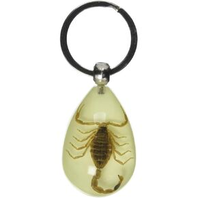 REALBUG Gold Scorpion Tear Drop Glow in The Dark Key Chain 5.3" x 7.7"