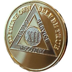 12 Year AA Medallion 22K Bi-Plate Gold Plated Premium Serenity Prayer Sobriety Chip