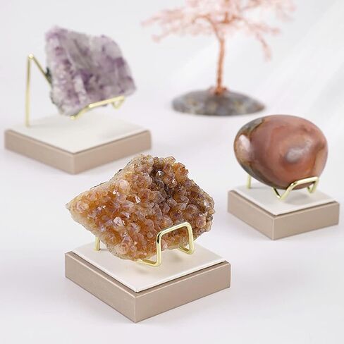 WAYUTO Brass Crystal Display Stand with Base Sphere Display Holder Fossil Display Holder Mineral Display Stand Rock Display Holder Agate Slice Display Stand for Collectibles Champagne/S in Saudi Arabia