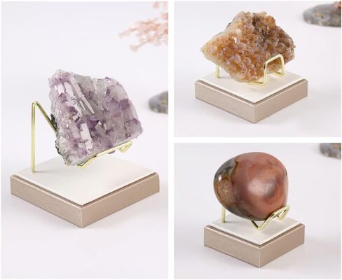 WAYUTO Brass Crystal Display Stand with Base Sphere Display Holder Fossil Display Holder Mineral Display Stand Rock Display Holder Agate Slice Display Stand for Collectibles Champagne/S in Saudi Arabia