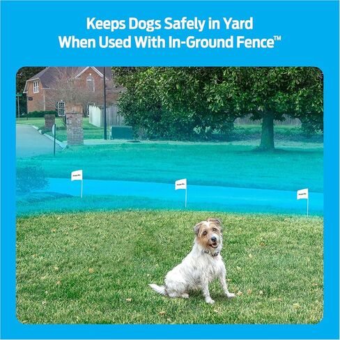 Lithium Batteries for Dog Collars and Fences - 6V, 2-Pack, Long-Lasting, Compatible with Premier Pet Brand Battery-Operated Collars in Saudi Arabia