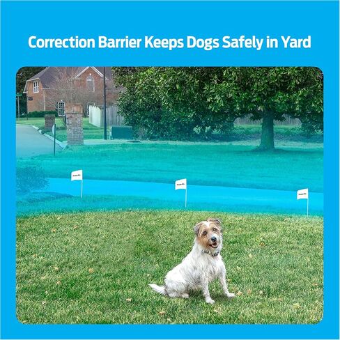 Lithium Batteries for Dog Collars and Fences - 6V, 2-Pack, Long-Lasting, Compatible with Premier Pet Brand Battery-Operated Collars in Saudi Arabia